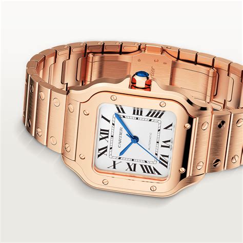 which cartier watch to buy